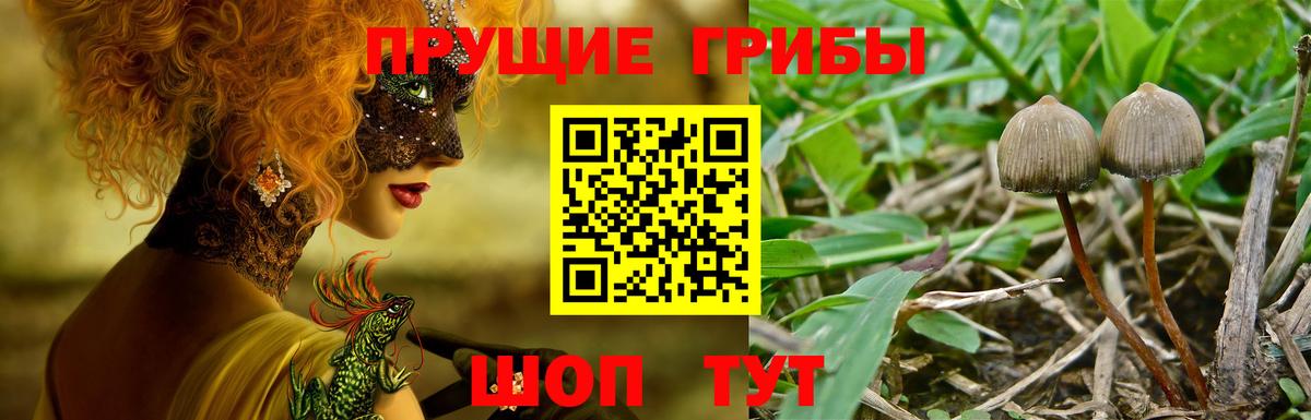 Псилоцибиновые грибы ЛСД Домодедово